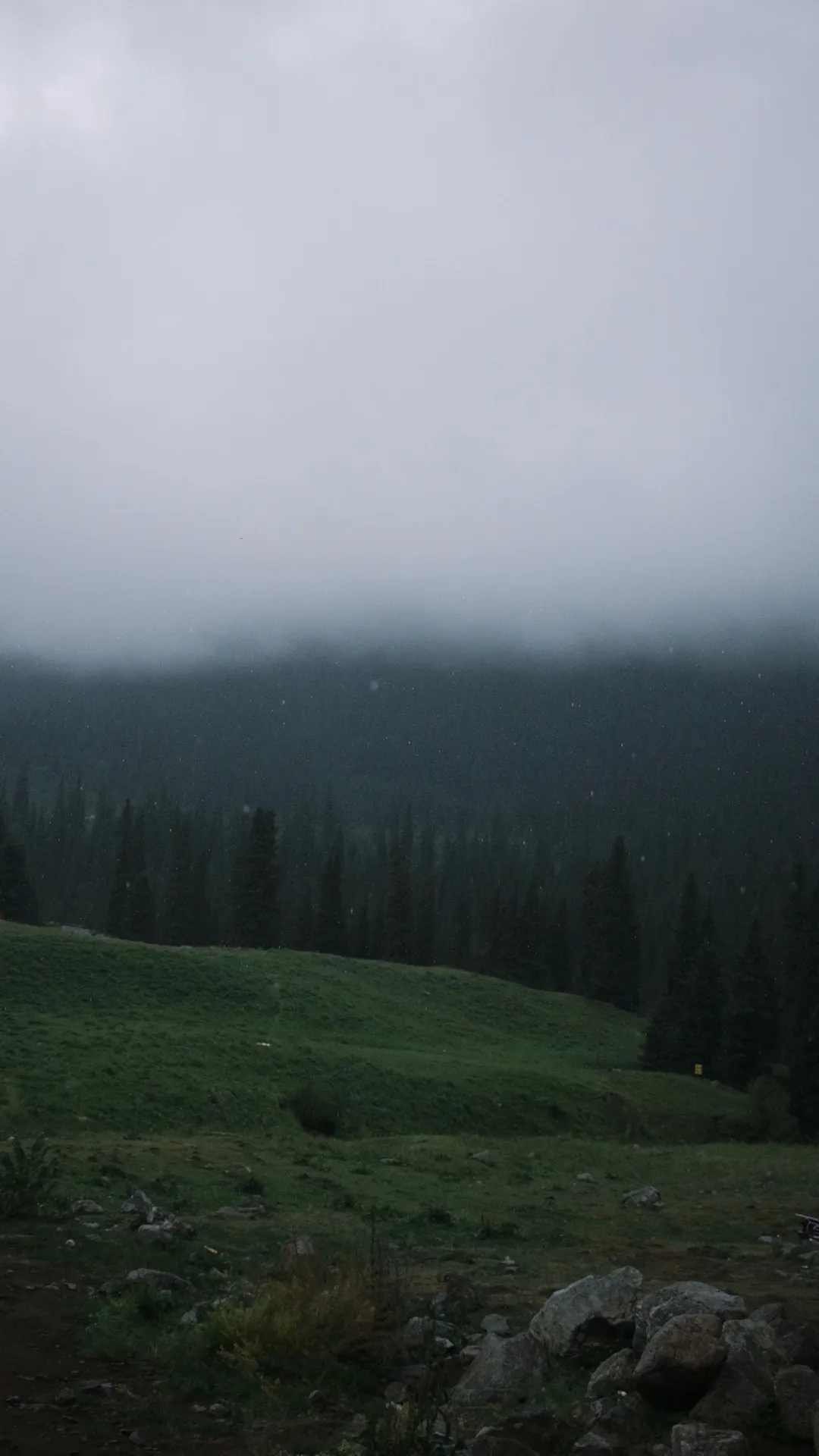 【荧cos】原神旅行者荧的雨天高山草甸记录 - 第 8 张
