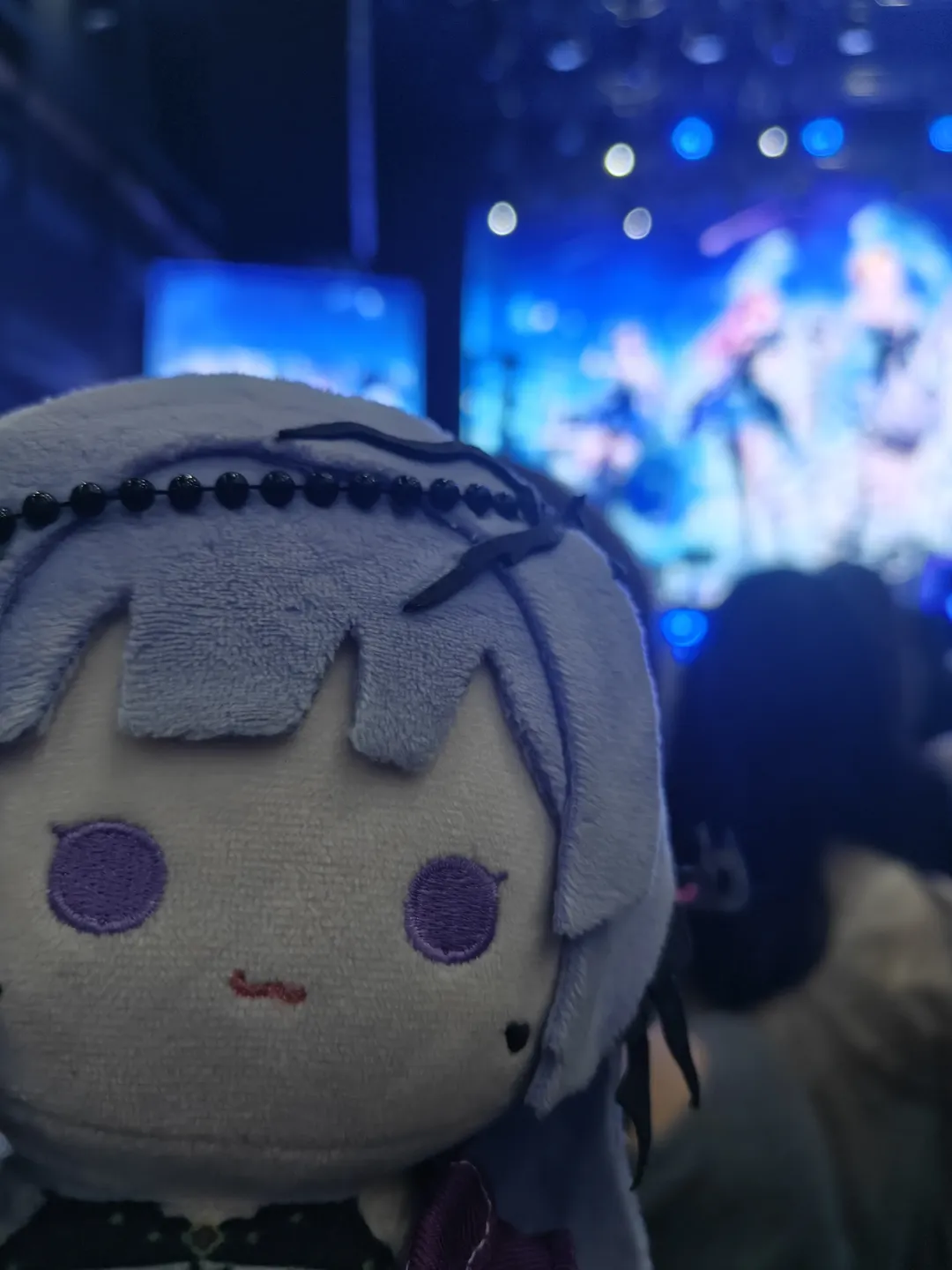 【海拉cos】无期迷途幻夜狂想Livehouse现场随记 - 第 12 张