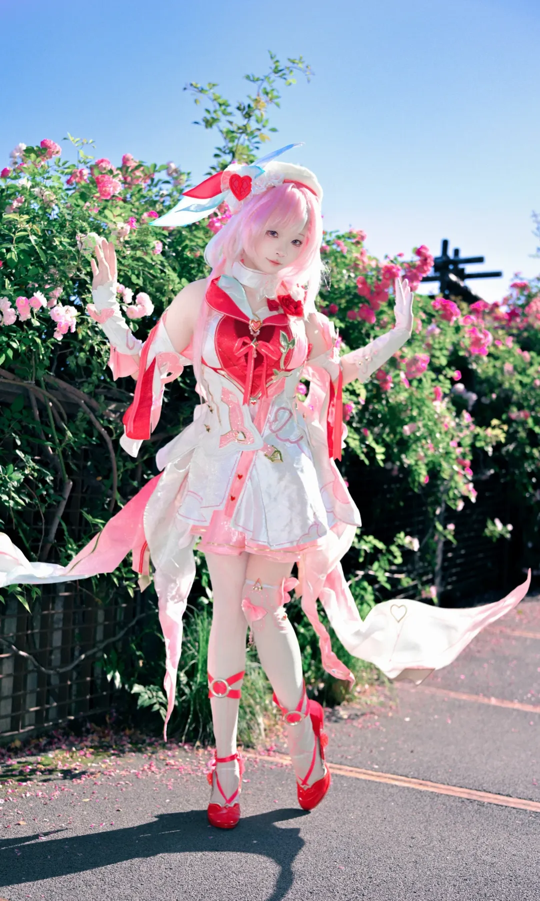 【愛莉希雅cos】定格在薔薇花叢裡的妖精