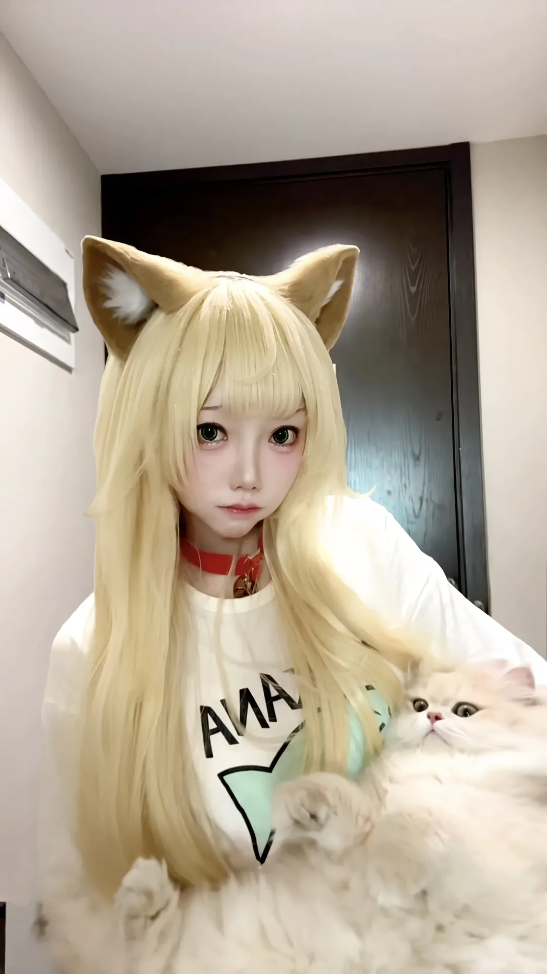 【黄豆粉cos】金发猫耳少女的慵懒日常 - 第 1 张