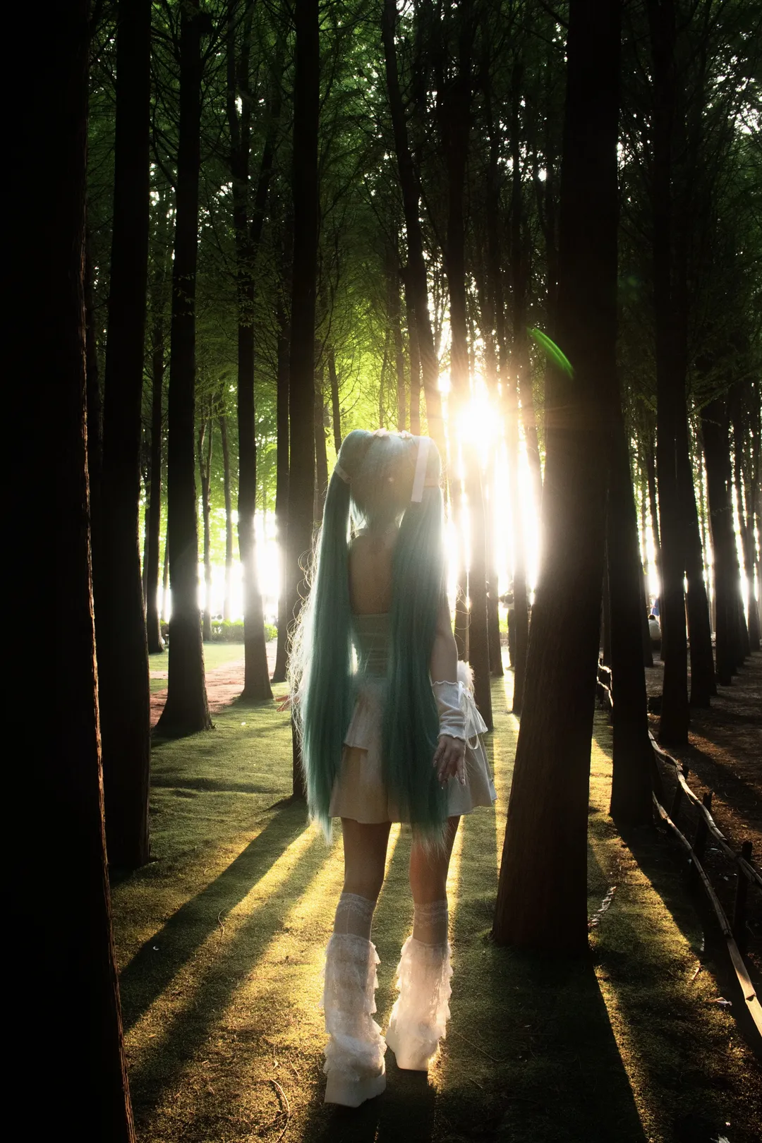 【初音未來cos】林間的漏光與未暗的青色頻率 - 第 5 張