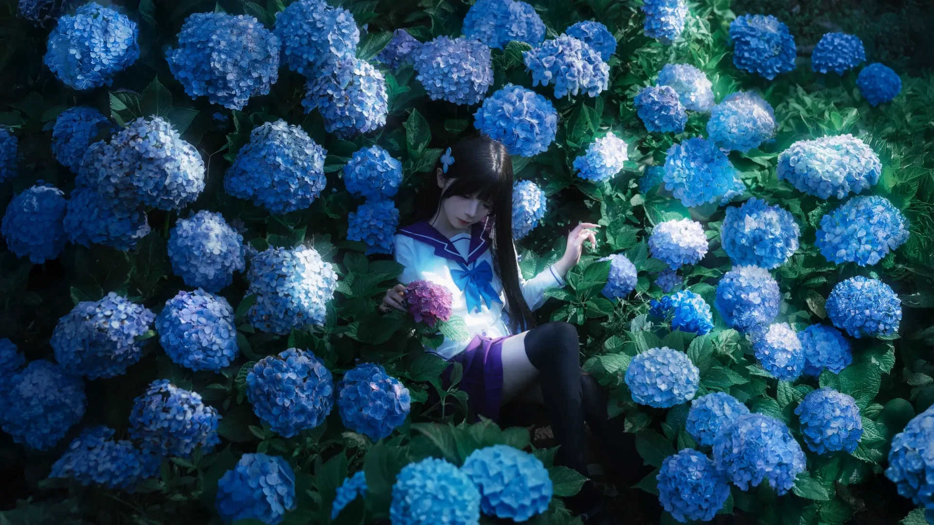【散华礼弥cos】无尽夏绣球花海中的JK少女 - 第 4 张