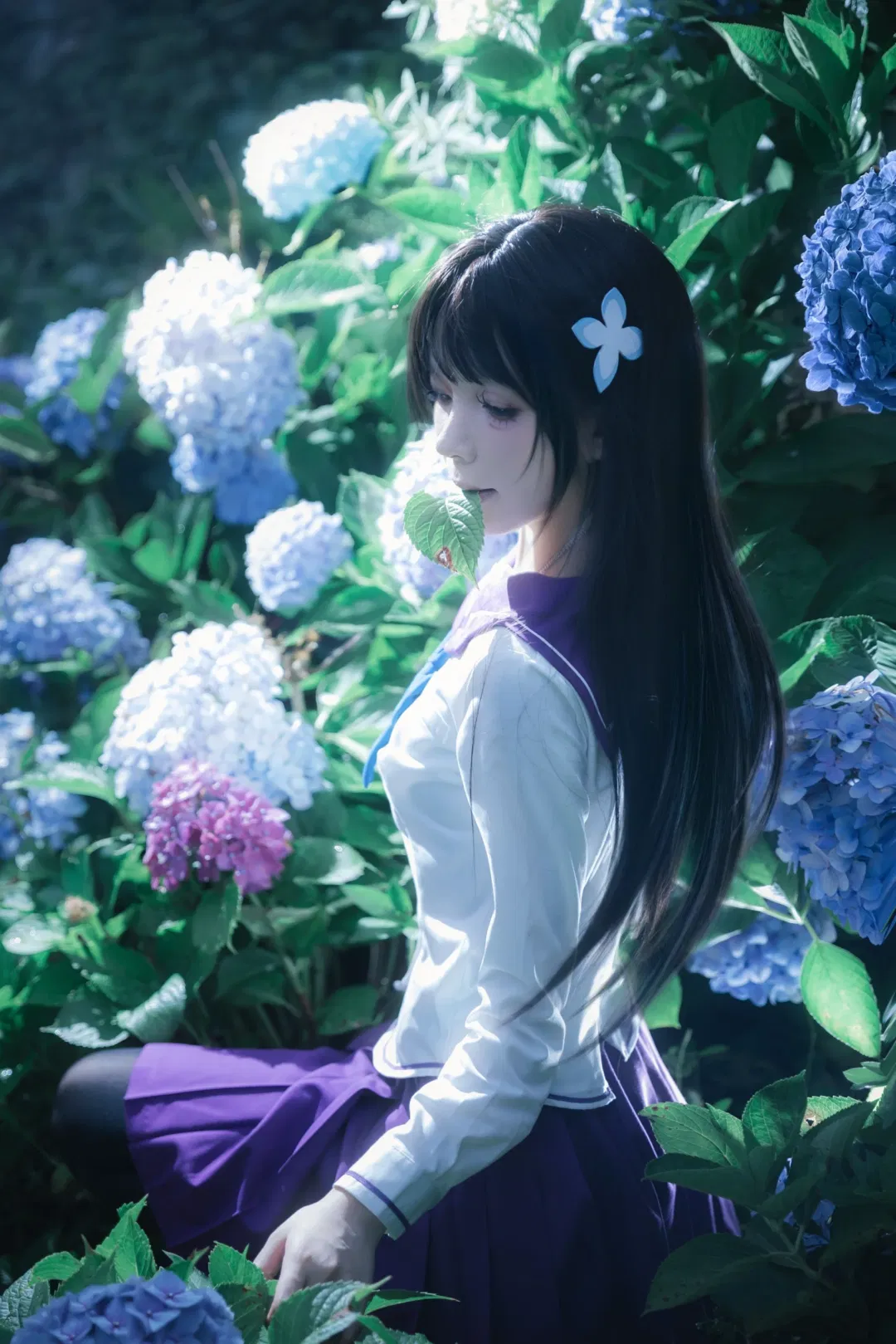 【散华礼弥cos】无尽夏绣球花海中的JK少女 - 第 5 张