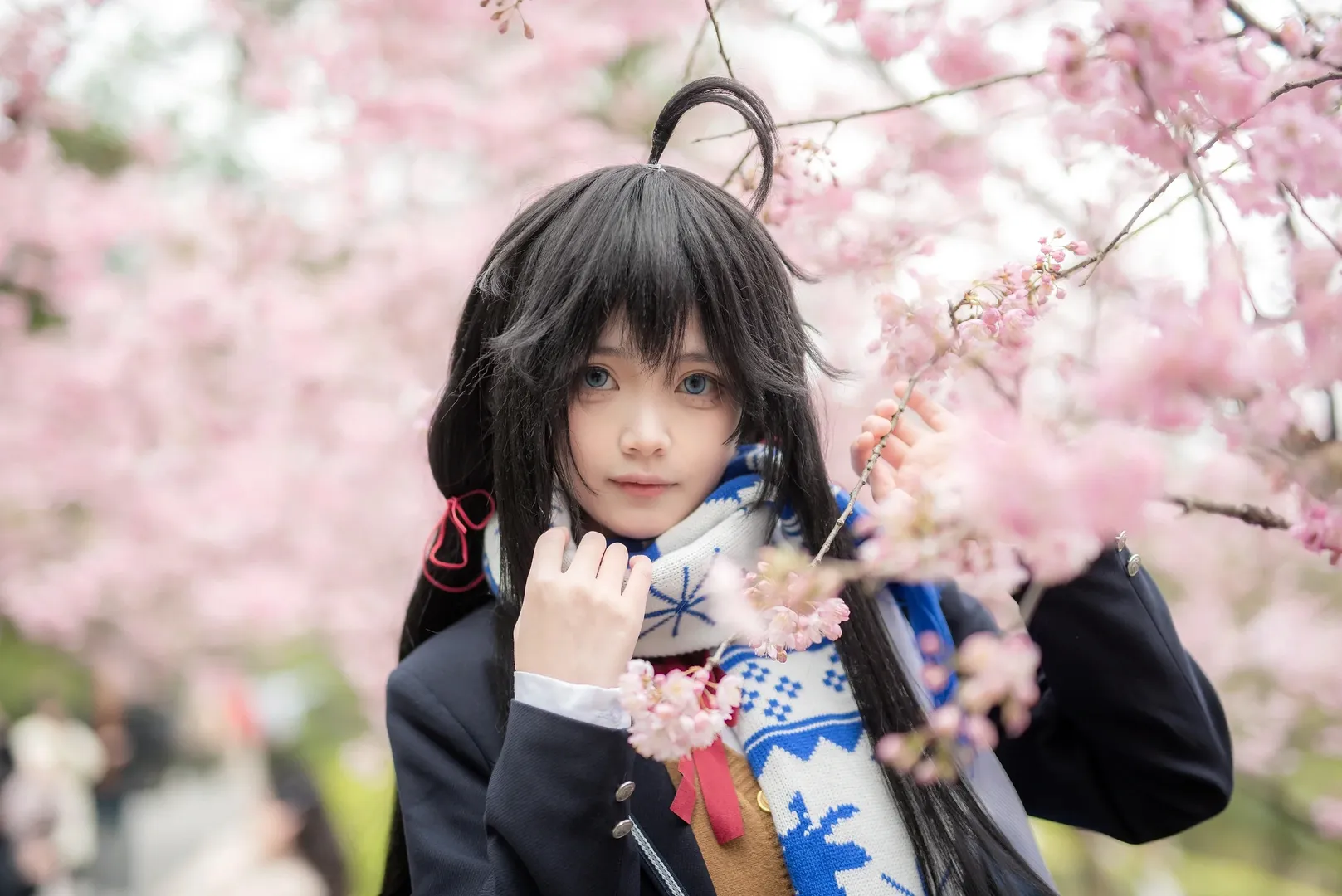 【雪之下雪乃cos】重庆樱花树下的制服漫游 - 第 4 张