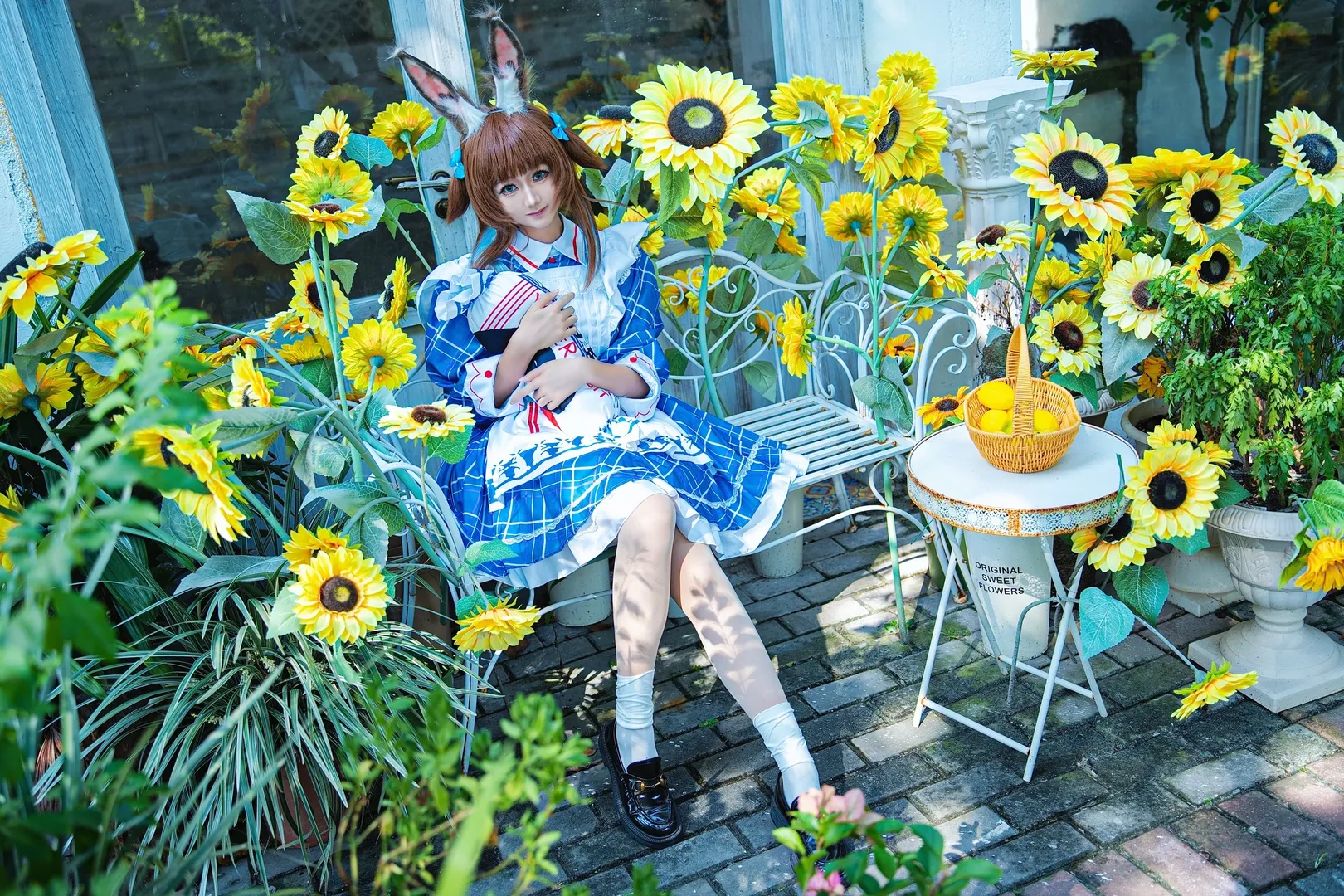 【阿米娅cos】明日方舟向日葵花园里的秋千少女 - 第 3 张