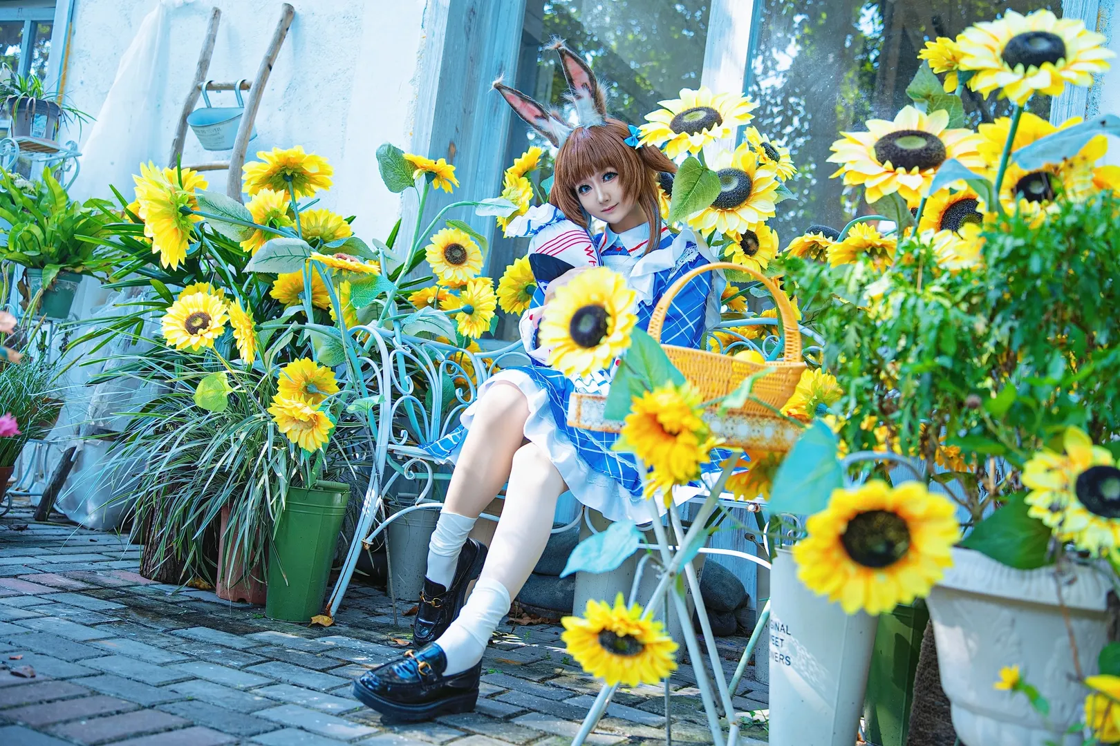 【阿米娅cos】明日方舟向日葵花园里的秋千少女 - 第 4 张