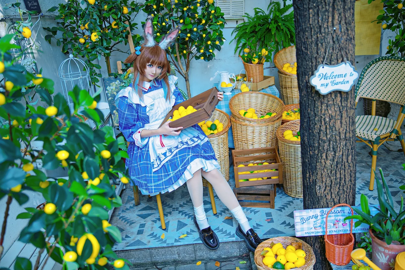 【阿米婭cos】在綠意盎然的花園裡記錄阿米婭的日常 - 第 5 張