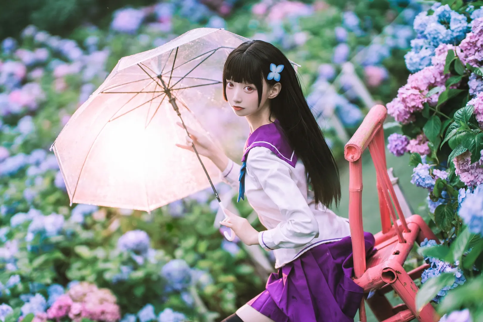 【散華禮彌cos】雨中繡球花田的紫色制服與透明傘 - 第 1 張