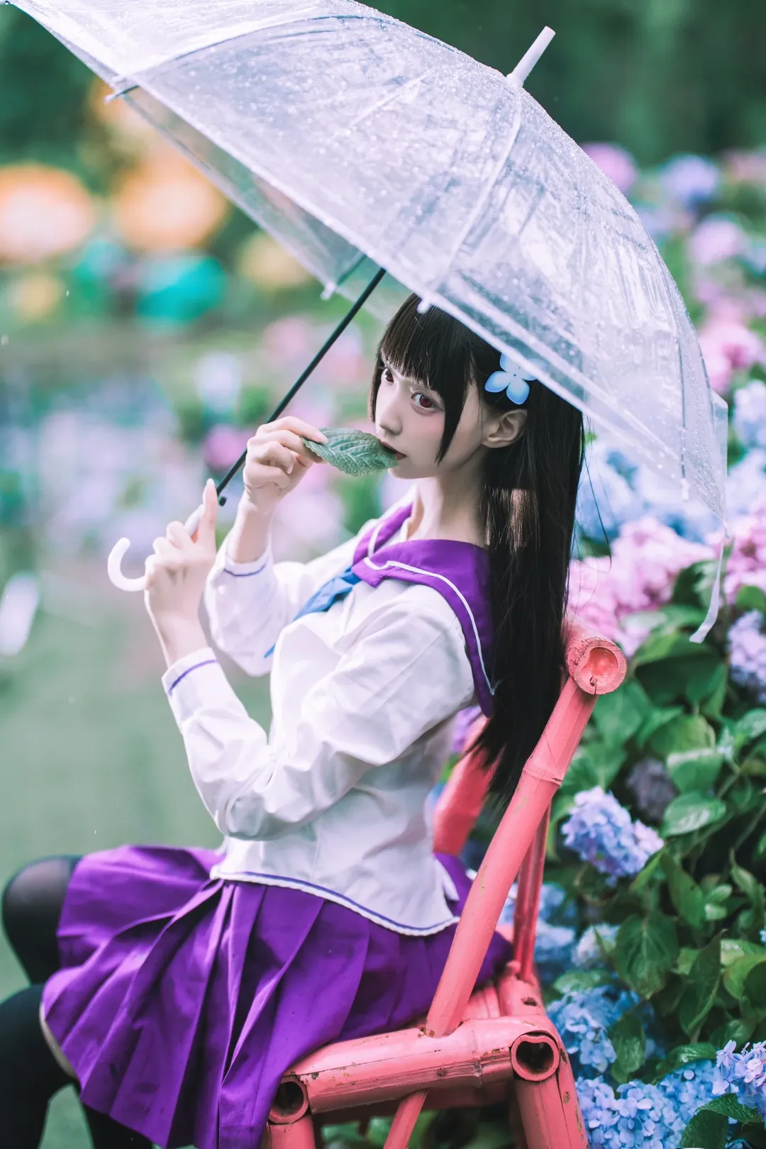 【散華禮彌cos】雨中繡球花田的紫色制服與透明傘 - 第 10 張