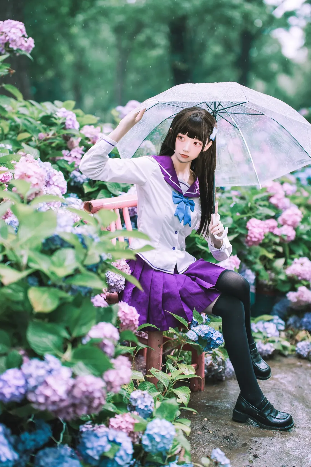 【散華禮彌cos】雨中繡球花田的紫色制服與透明傘 - 第 7 張