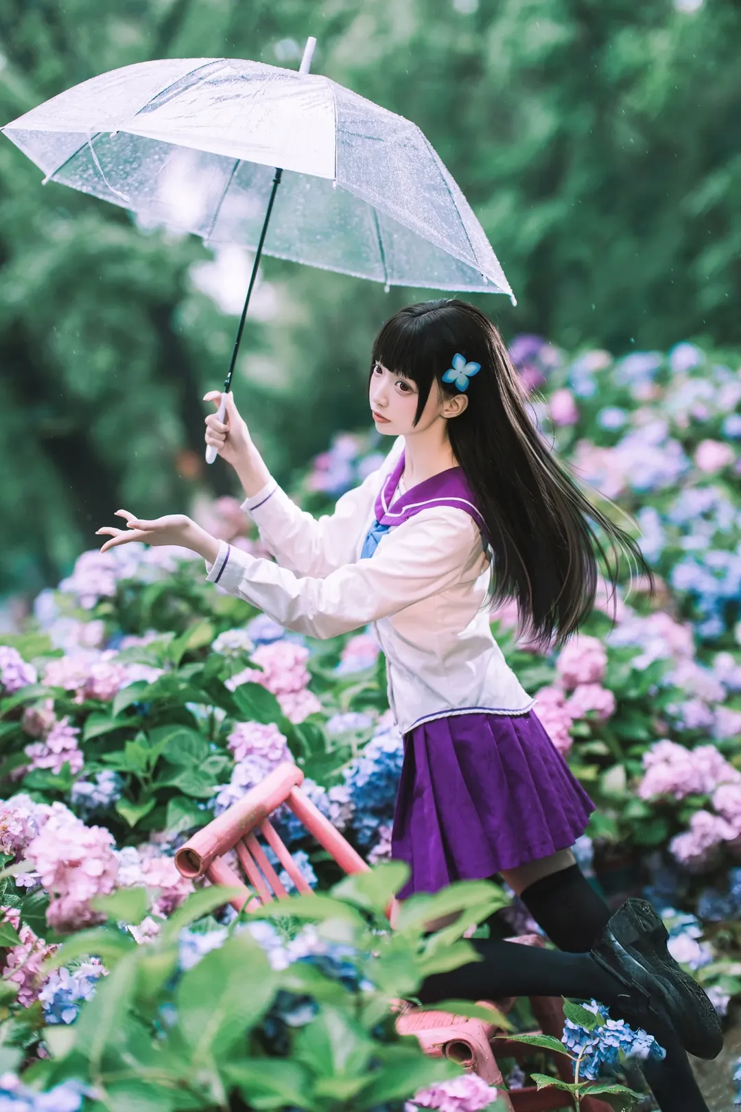 【散華禮彌cos】雨中繡球花田的紫色制服與透明傘 - 第 9 張