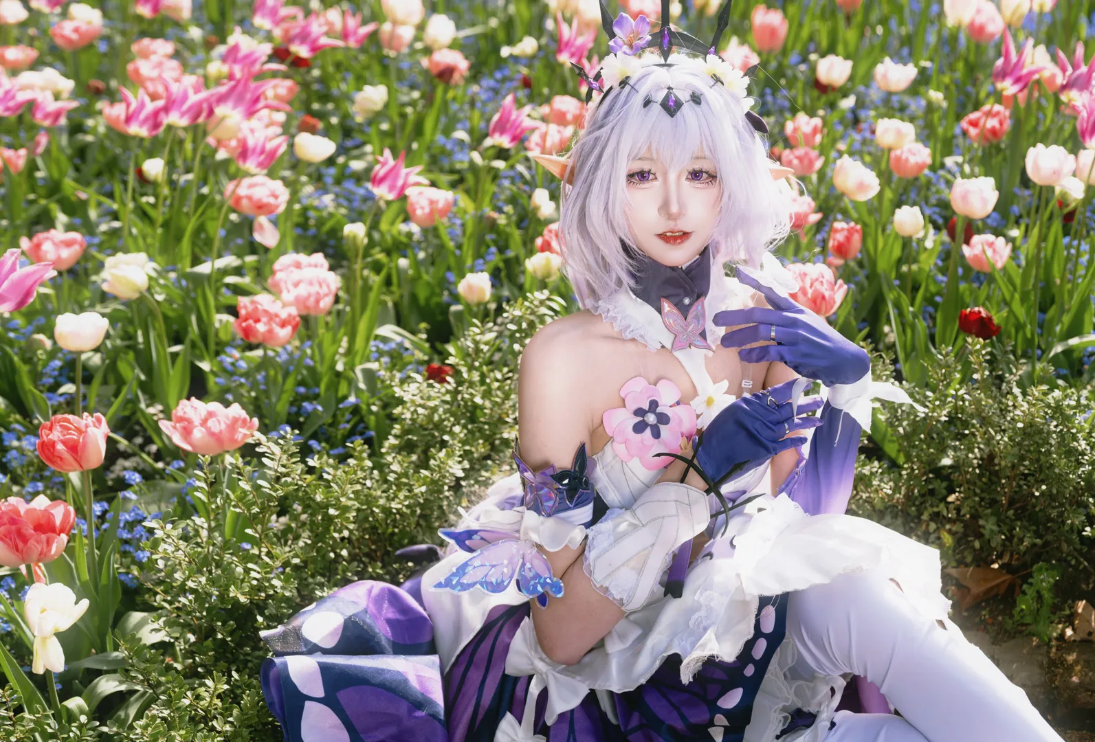 【遐蝶cos】崩坏星穹铁道联动版本里的蝶宝花海记录 - 第 1 张