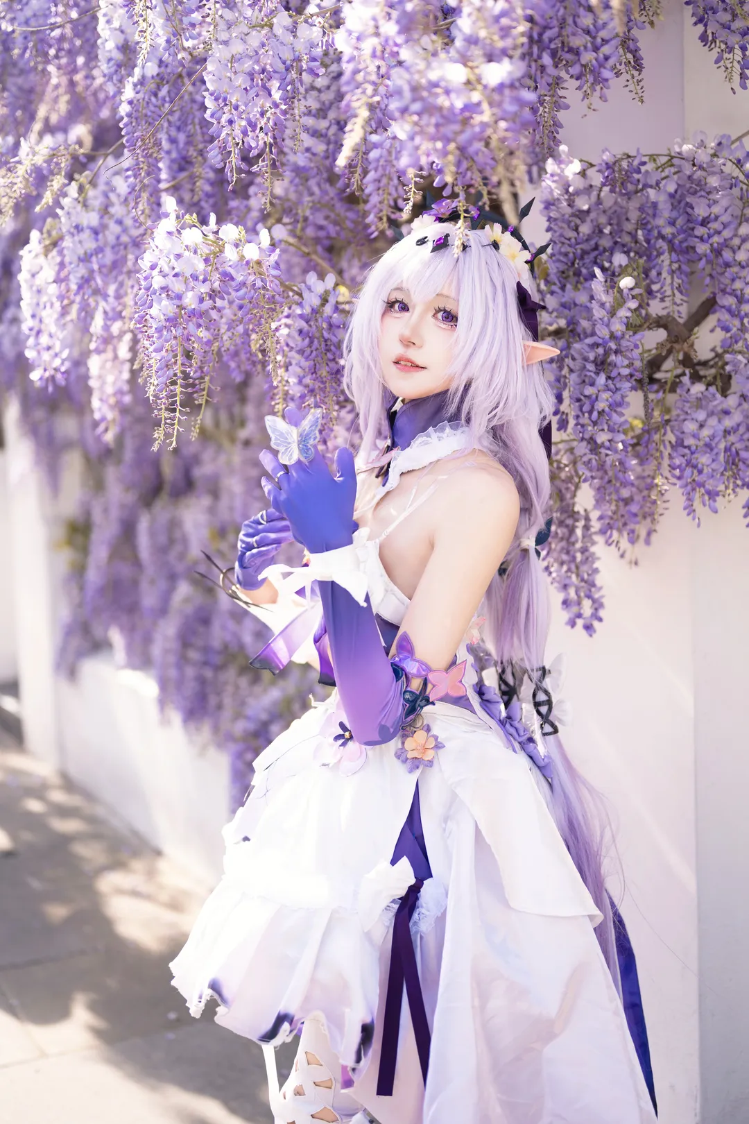 【遐蝶cos】崩坏星穹铁道联动版本里的蝶宝花海记录