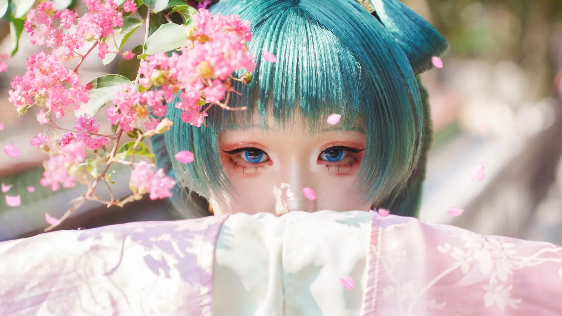【猫猫cos】药屋少女的园林漫游记录 - 第 2 张