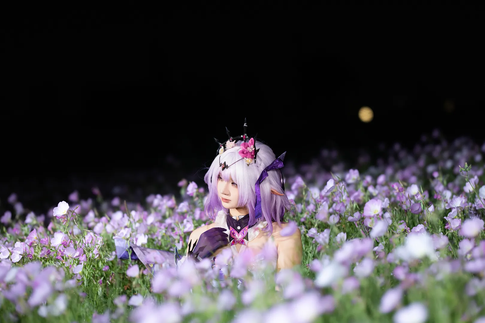 【遐蝶cos】夜色花海中的紫色幻梦 - 第 5 张