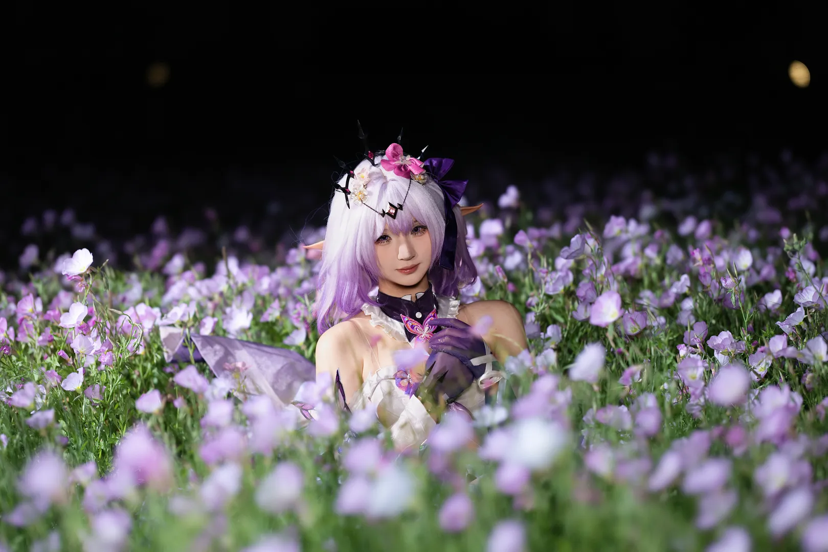 【遐蝶cos】崩壞星穹鐵道夜色花海中的蝶影 - 第 1 張