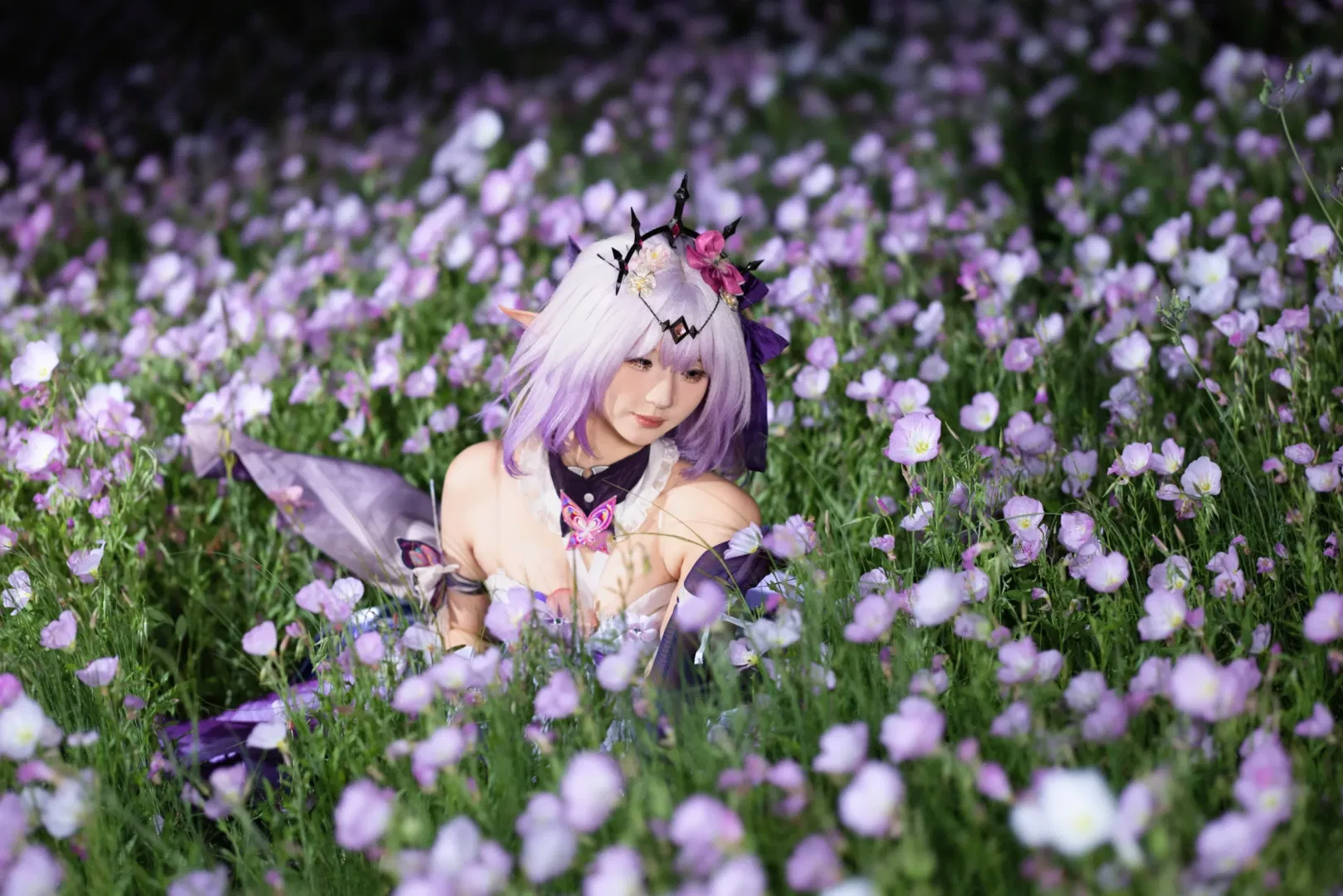 【遐蝶cos】崩坏星穹铁道：月见草花海中的夜色记录 - 第 1 张