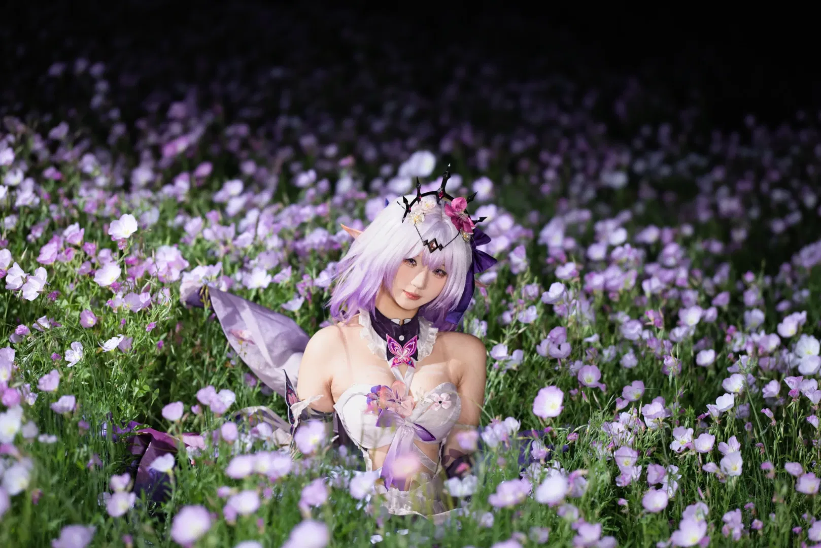 【遐蝶cos】崩坏星穹铁道：月见草花海中的夜色记录 - 第 5 张