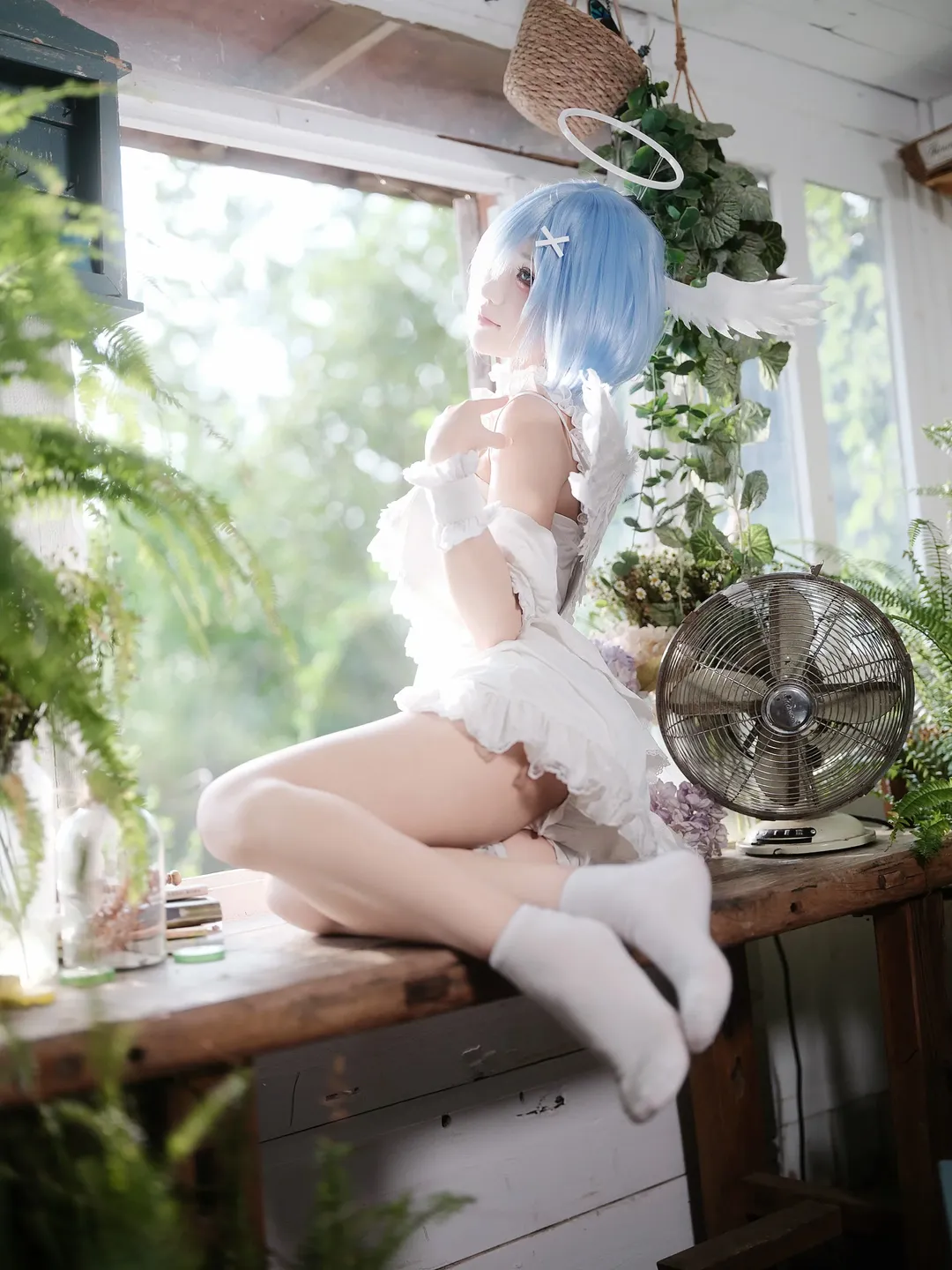 【蕾姆cos】窗边与绿植间的纯白天使 - 第 2 张