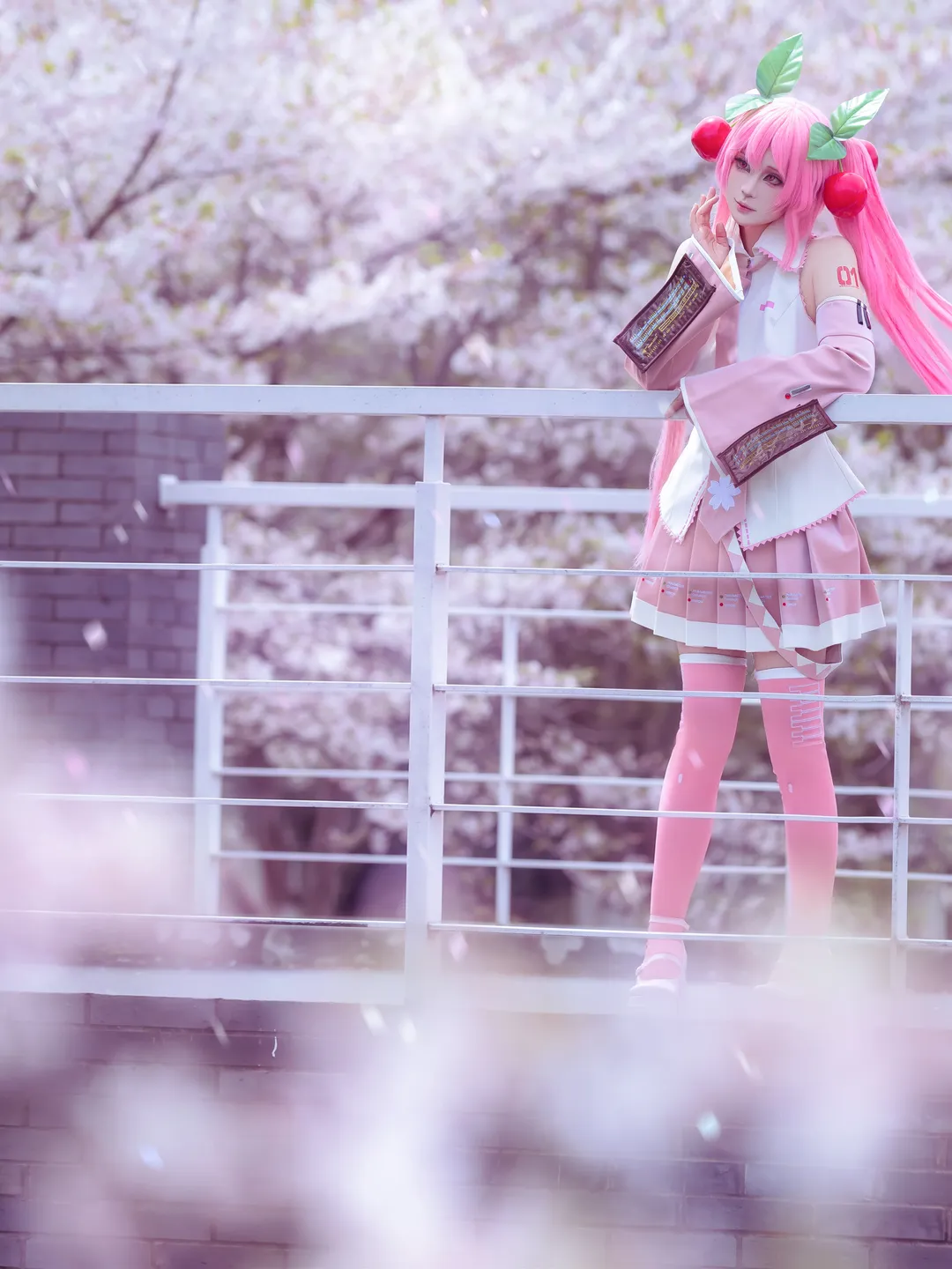 【初音未来cos】粉色双马尾与樱花的春日碰撞 - 第 1 张