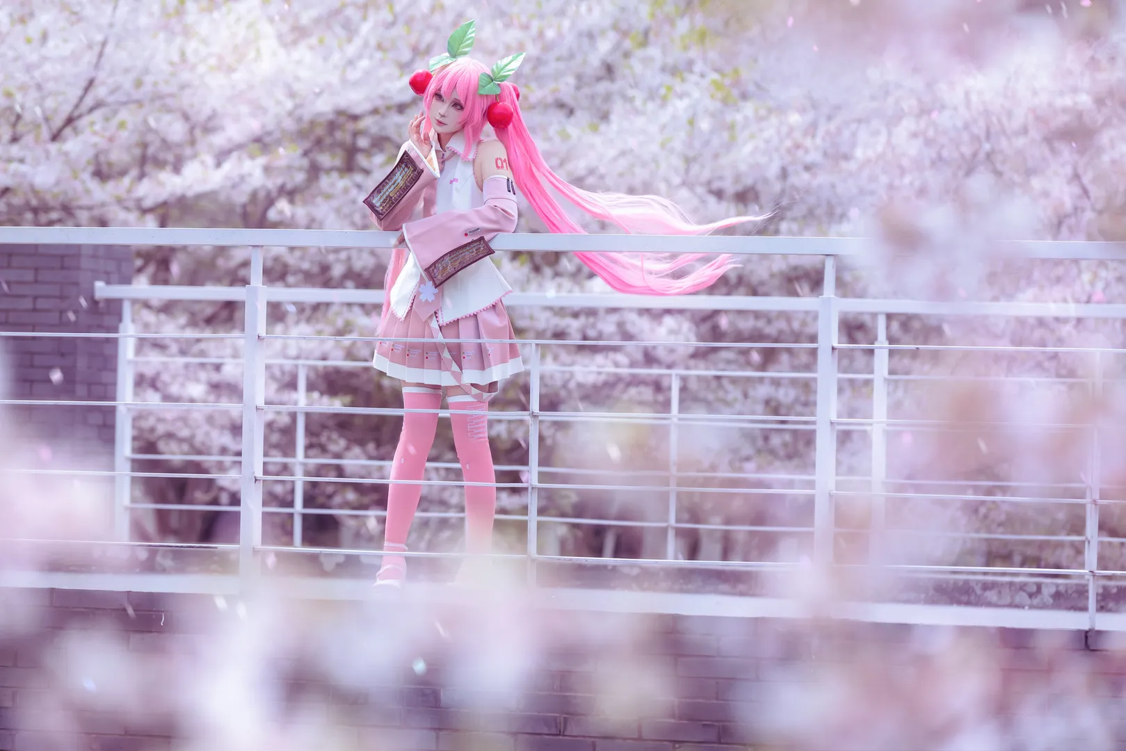 【初音未来cos】粉色双马尾与樱花的春日碰撞 - 第 3 张