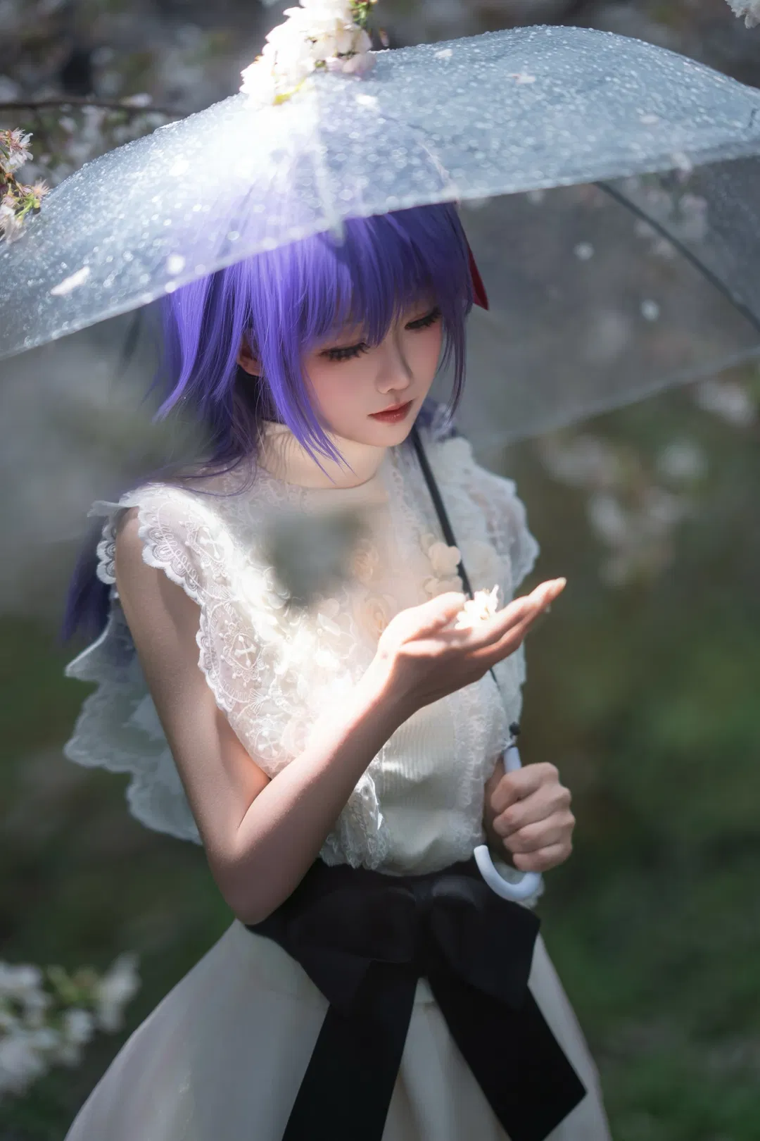 【间桐樱cos】早春细雨中的樱花与透明伞 - 第 1 张