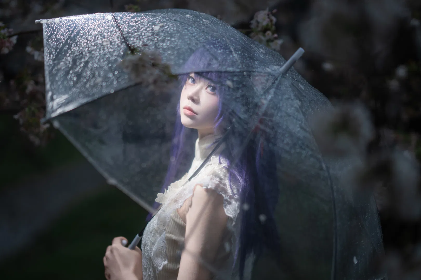 【间桐樱cos】早春细雨中的樱花与透明伞 - 第 3 张