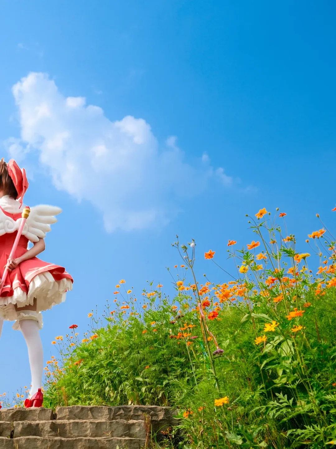【木之本樱cos】魔卡少女樱 经典红白战斗服 - 第 2 张