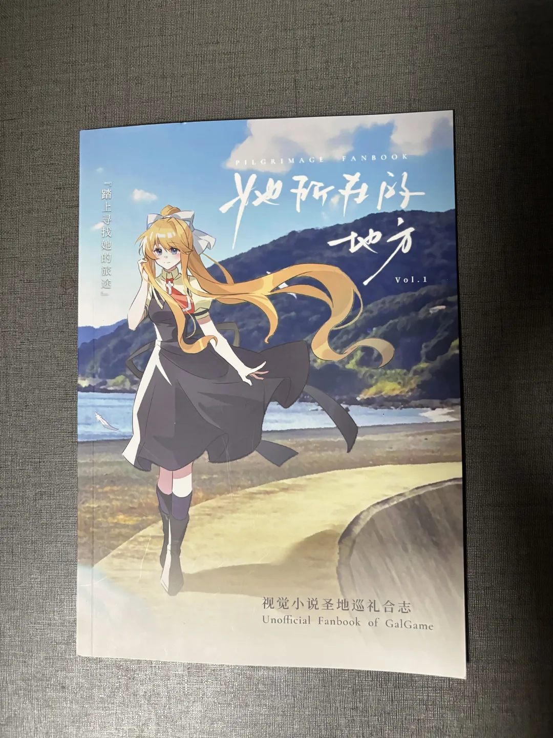 漫展现场喜提圣地巡礼合志实体版 - 第 2 张