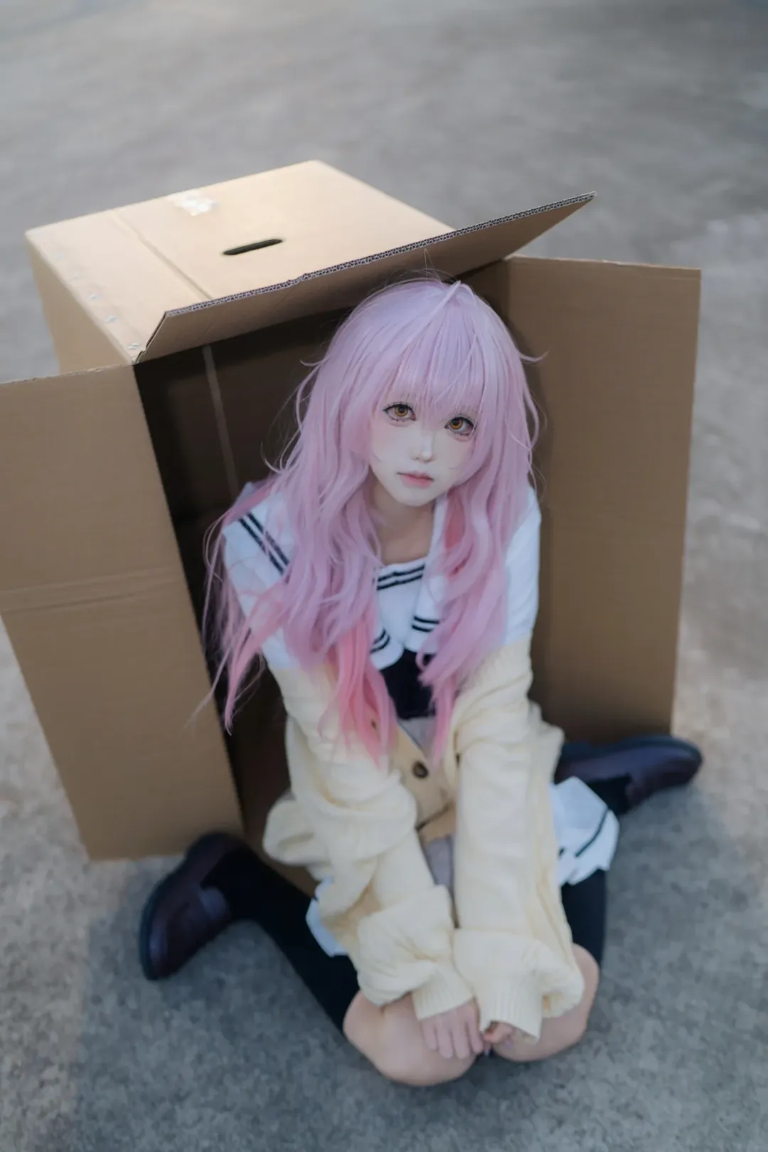 【向日葵cos】君与彼女与彼女之恋的纸箱少女日常 - 第 3 张