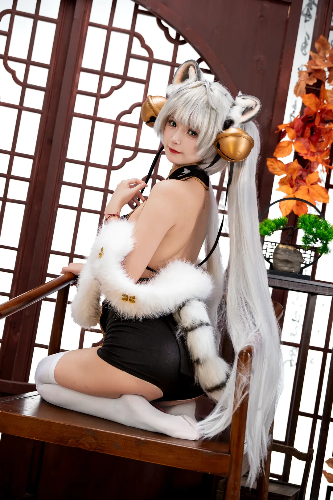 【白虎娘cos】虎啸风生的中式拍摄分享 - 第 4 张