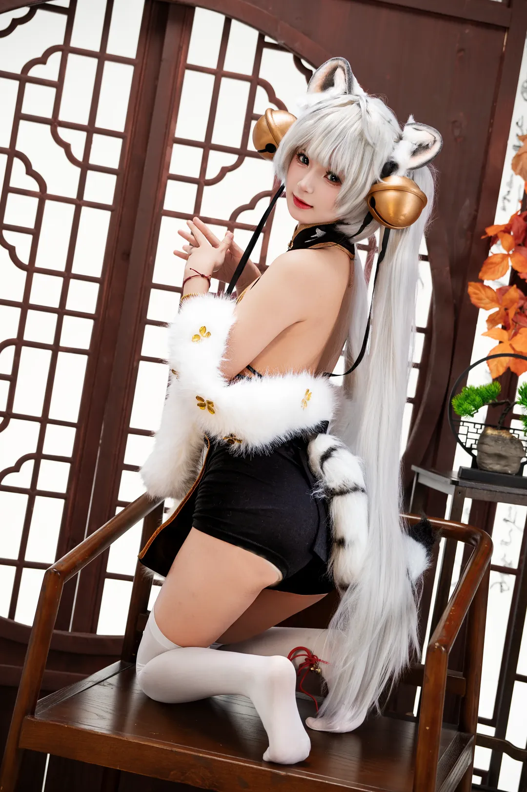 【白虎娘cos】虎啸风生的中式拍摄分享 - 第 5 张