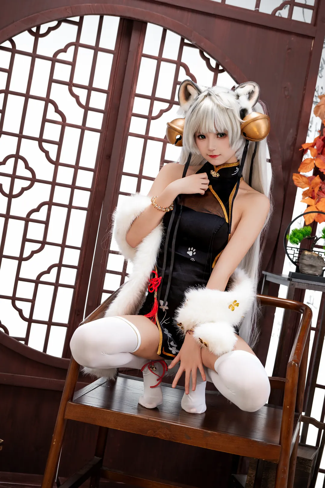 【白虎娘cos】虎啸风生的中式拍摄分享 - 第 6 张