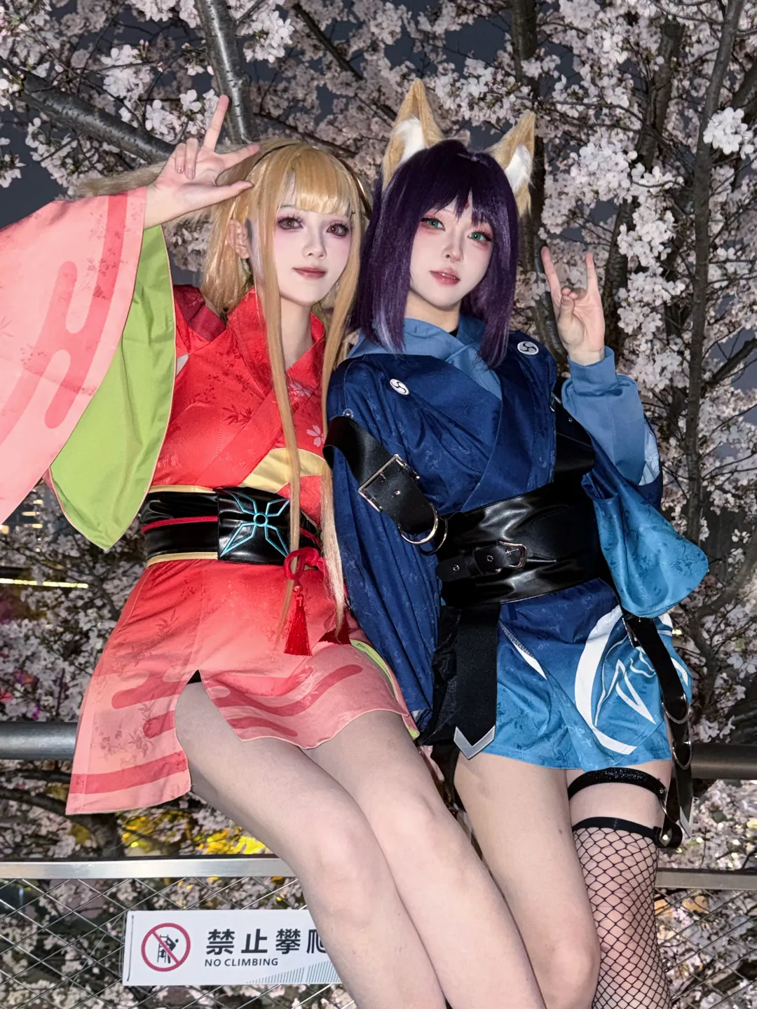 【酒寄彩葉輝夜cos】超時空輝夜姬的夜櫻網襪 - 第 1 張