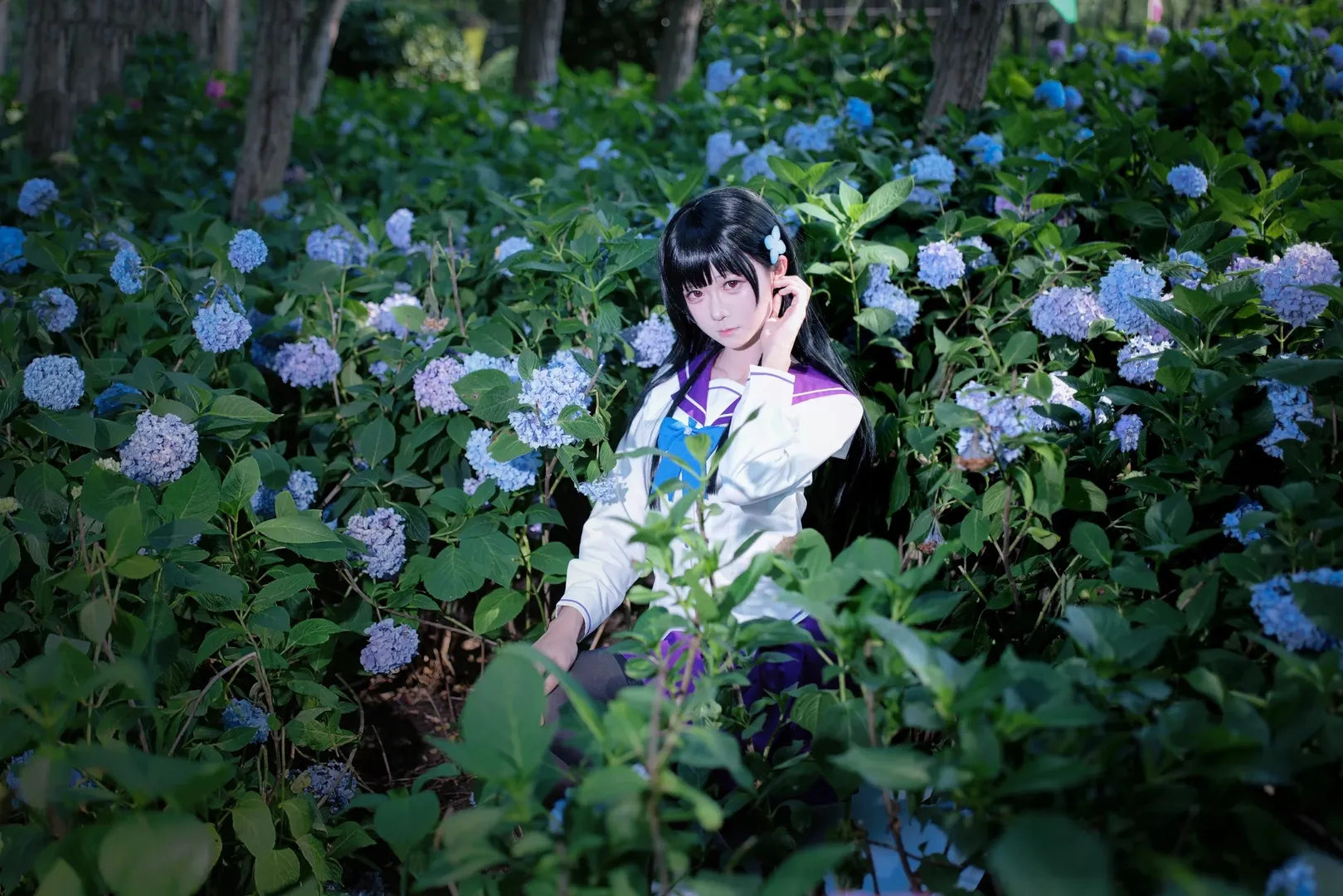 【散华礼弥cos】紫阳花开无尽夏，绣球花海中的水手服少女 - 第 1 张