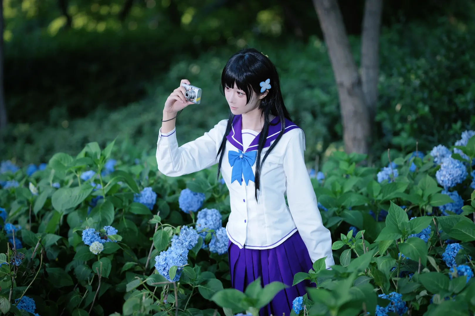 【散华礼弥cos】紫阳花开无尽夏，绣球花海中的水手服少女 - 第 5 张