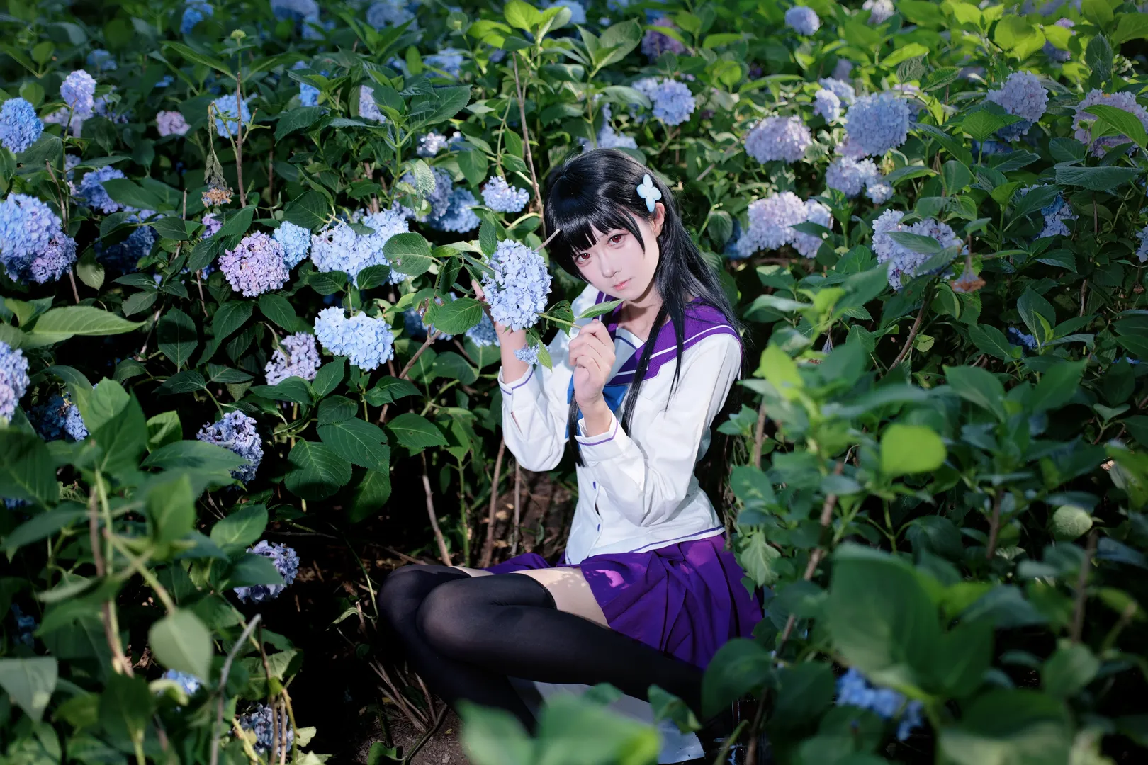 【散华礼弥cos】紫阳花开无尽夏，绣球花海中的水手服少女 - 第 7 张