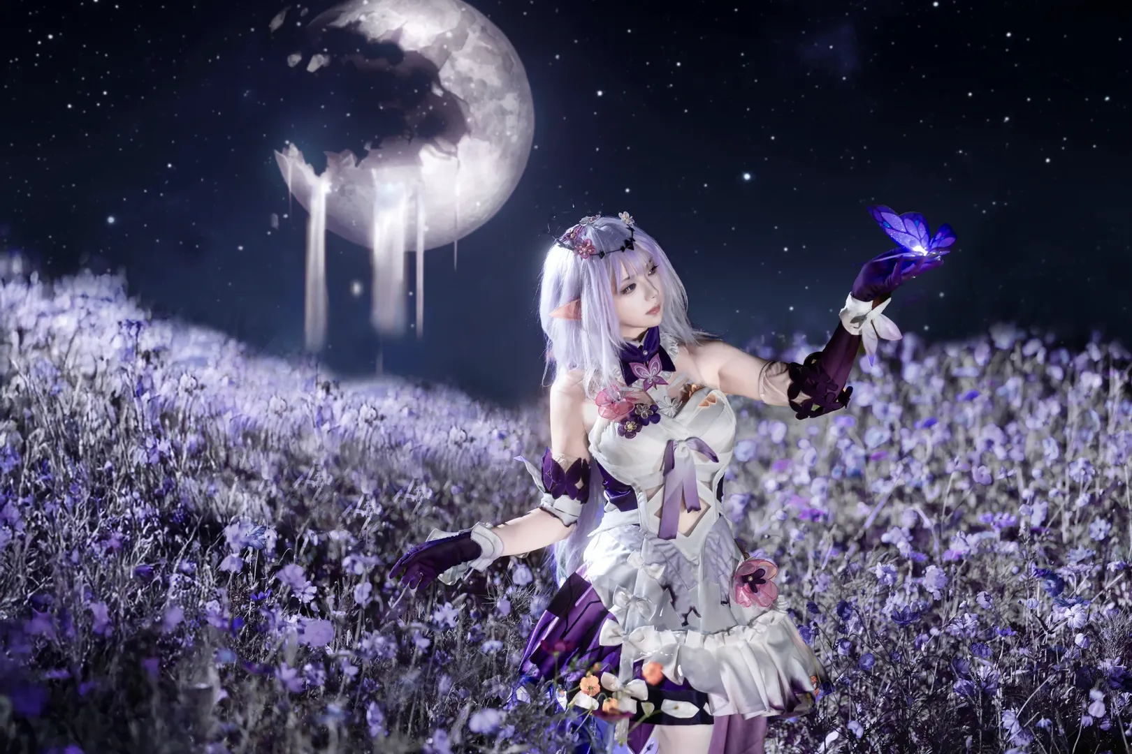 【遐蝶cos】夜色格桑花海里的静谧瞬间 - 第 3 张