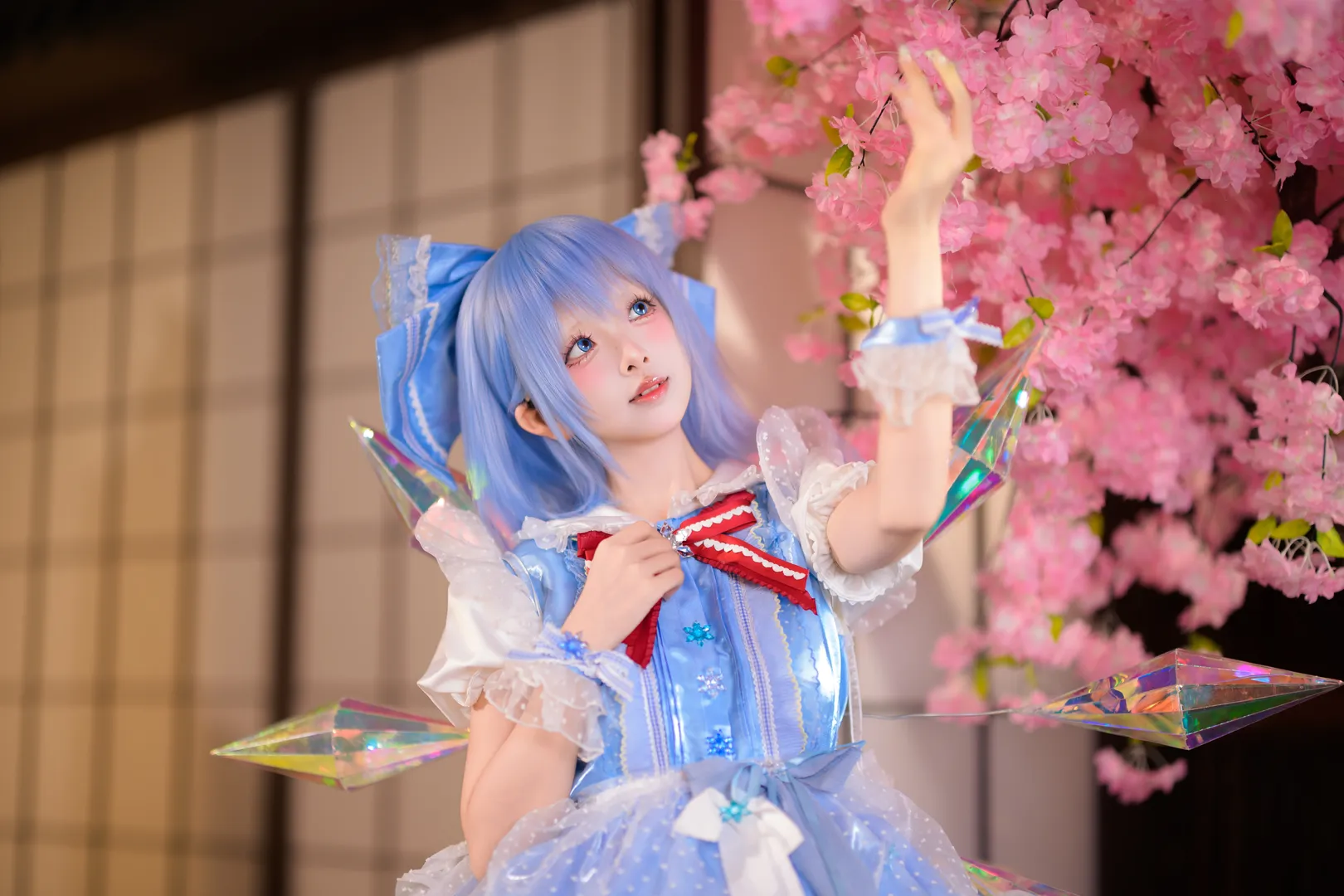【琪露诺cos】和风樱花下的冰蓝精灵 - 第 7 张
