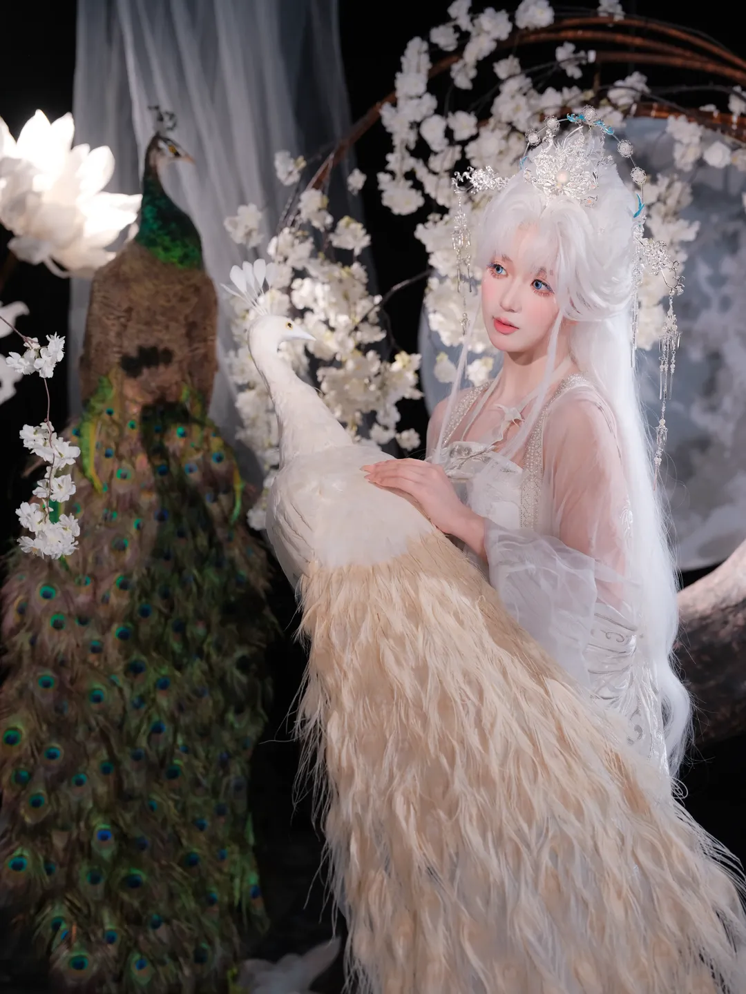 【越汐音cos】花亦山心之月白孔雀神女造型 - 第 6 张