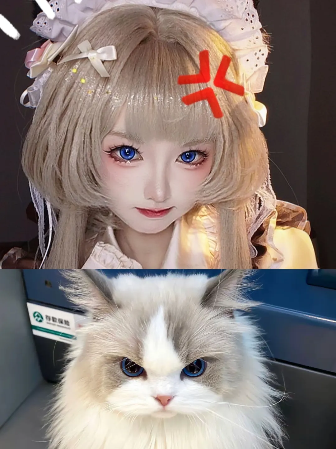 【桑多涅cos】原神木偶的私設女僕風裝扮記錄 - 第 1 張