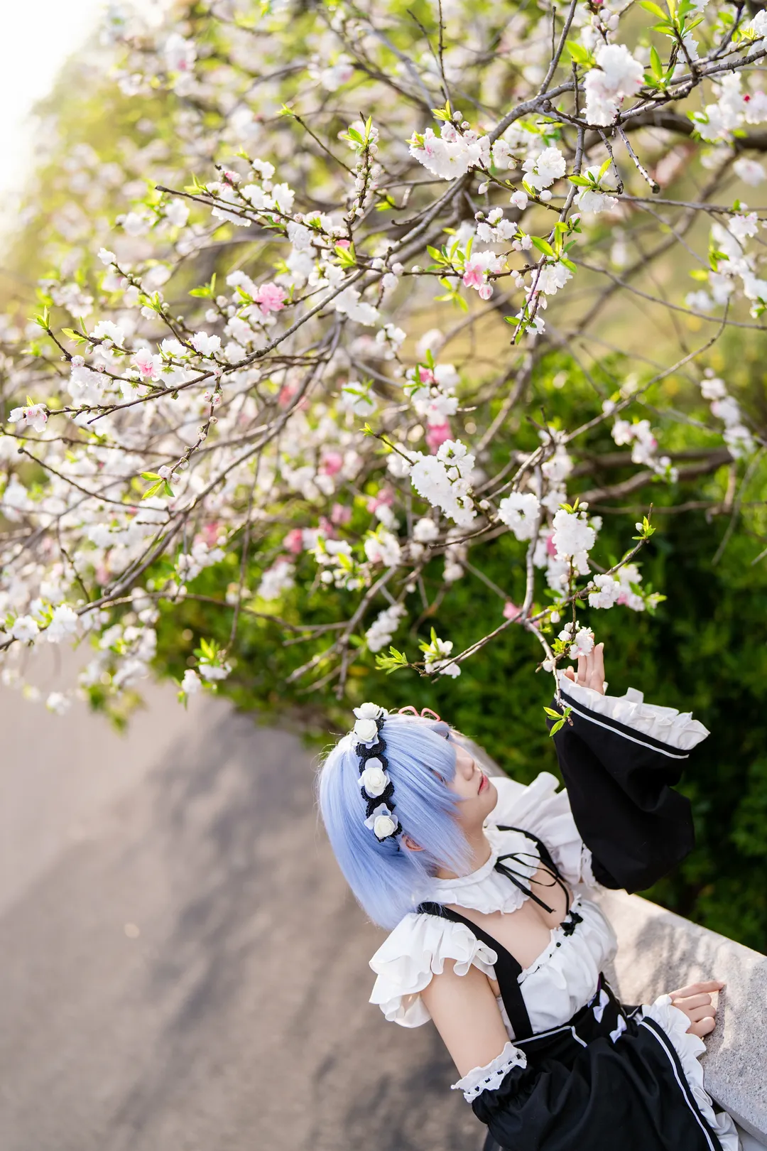 【蕾姆cos】从零开始的异世界生活 春日蓝花海中的女仆日常 - 第 2 张