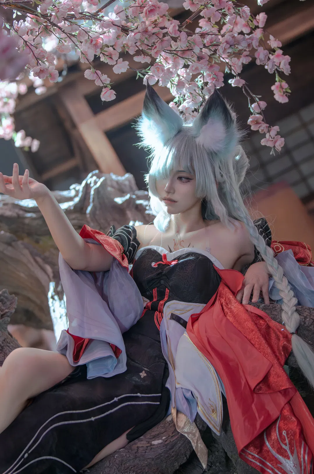 【弗洛洛cos】鳴潮心月弗櫻花樹下的狐耳少女 - 第 1 張