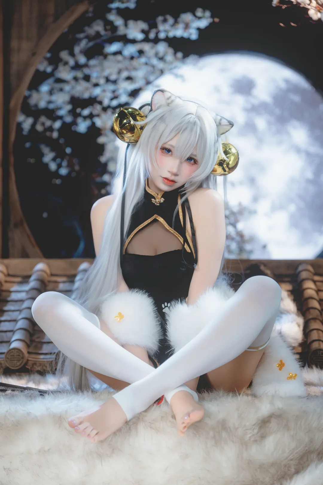 白虎娘cos 银发虎耳与黑金旗袍的满月之夜 - 第 1 张