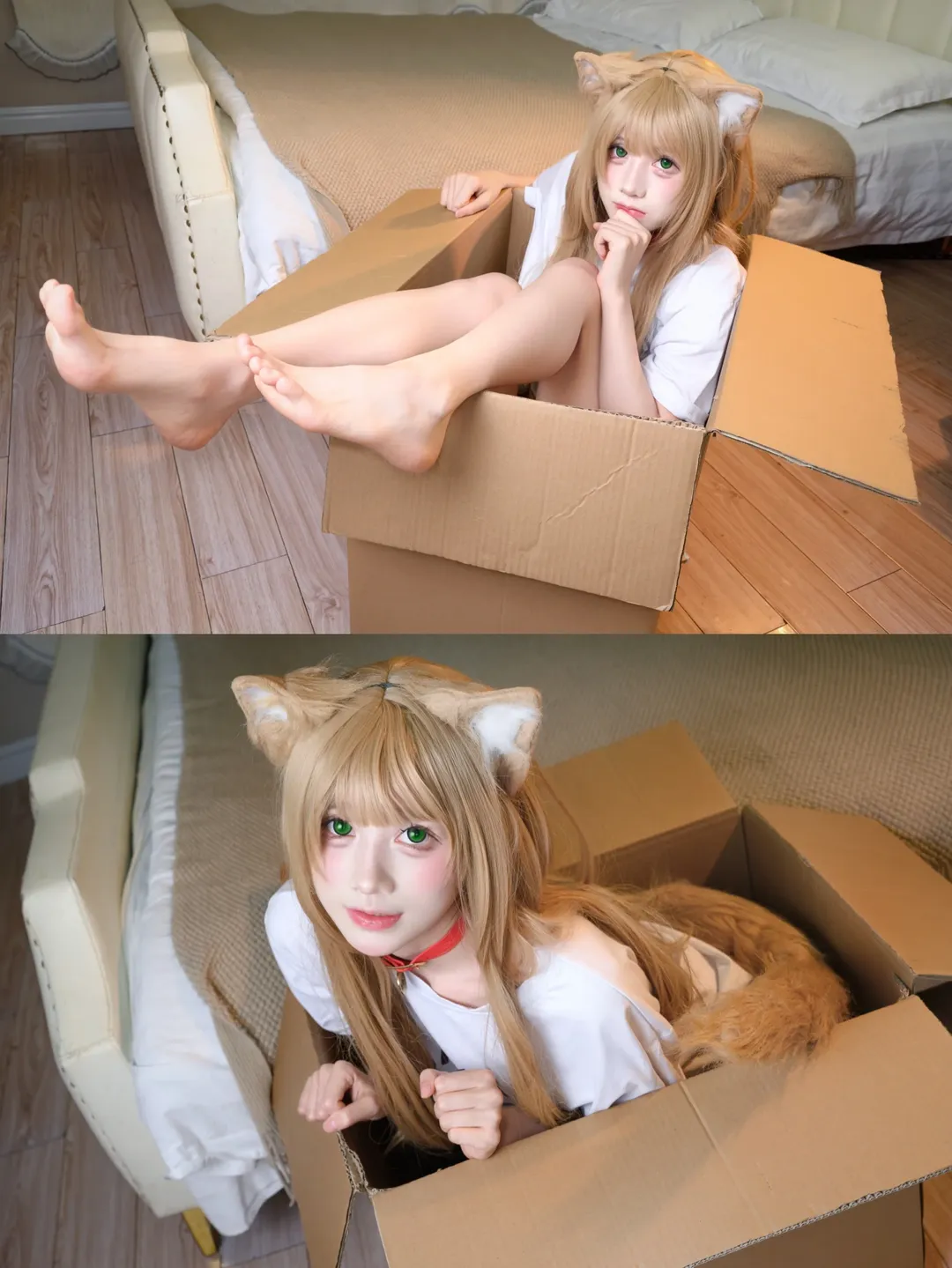 【黄豆粉cos】钻纸箱摇尾巴的居家猫娘 - 第 1 张