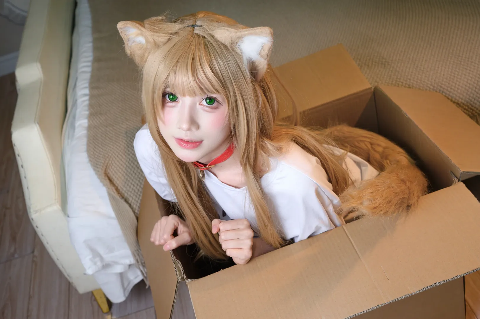 【黄豆粉cos】钻纸箱摇尾巴的居家猫娘 - 第 2 张