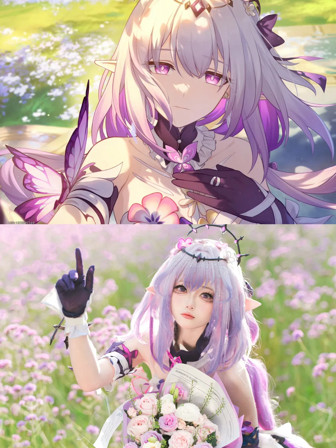 崩坏星穹铁道遐蝶cos，马鞭草花海中的绝美正片 - 第 1 张