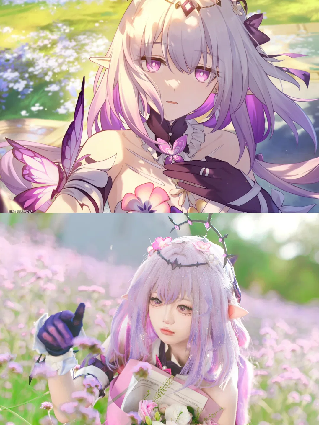 崩坏星穹铁道遐蝶cos，马鞭草花海中的绝美正片 - 第 2 张