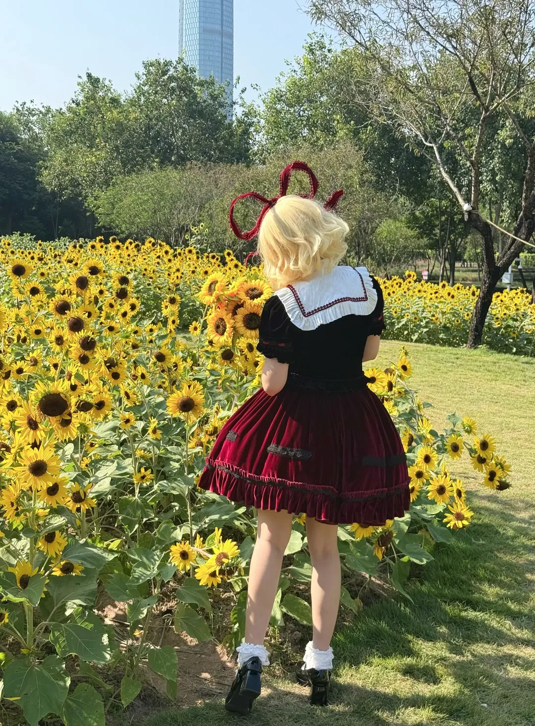 【梅蒂欣cos】东方project 向日葵花海中的洛丽塔 - 第 1 张