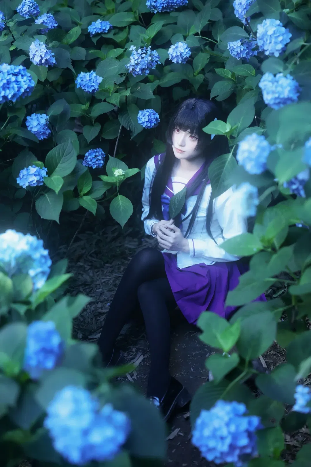 【散华礼弥cos】无尽夏绣球花丛中的经典水手服 - 第 2 张